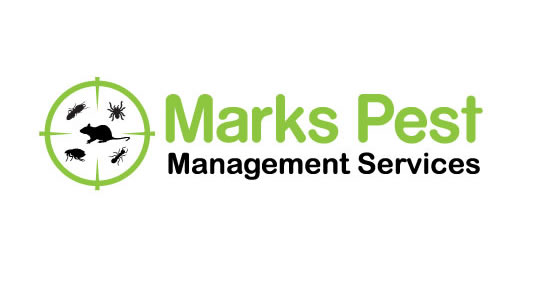 marks pest